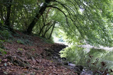 Parc du Moulin D'Ornon de Gradignan (3).